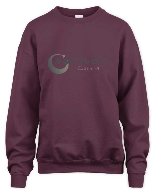 When You Wear Belief, Not Just Fabric, This Sweatshirt Delivers It